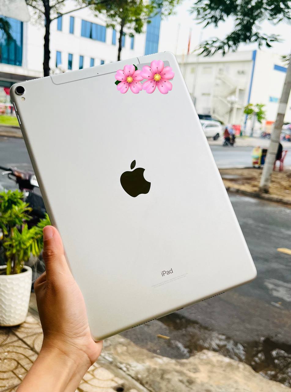 iPad Pro 10.5 4G