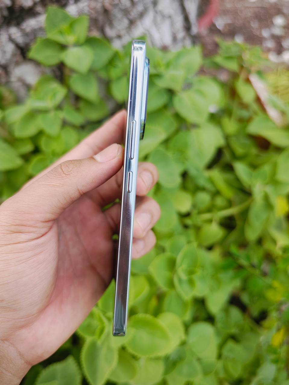 Honor 300
