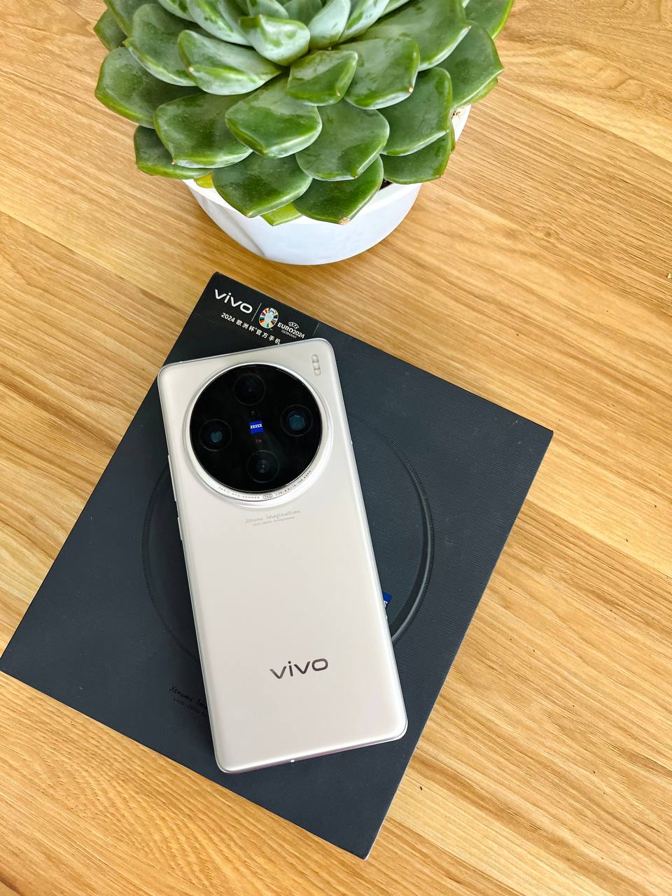 Vivo X100s Pro