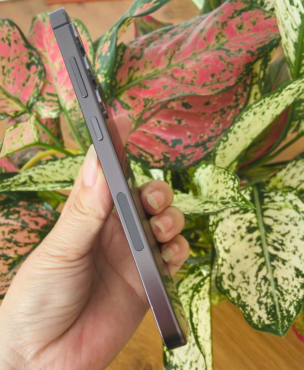 Galaxy S24 Plus