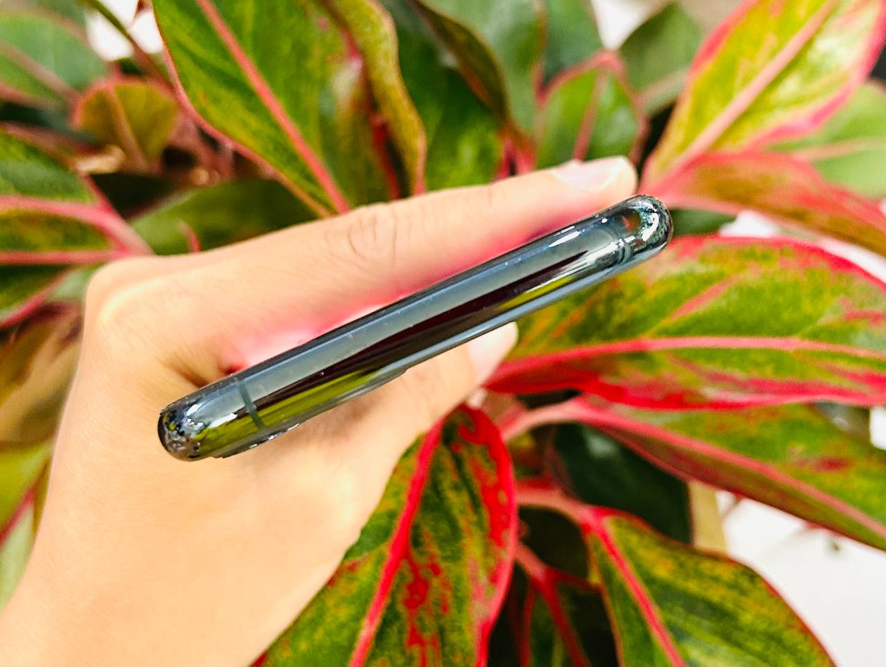 iPhone 11 Pro
