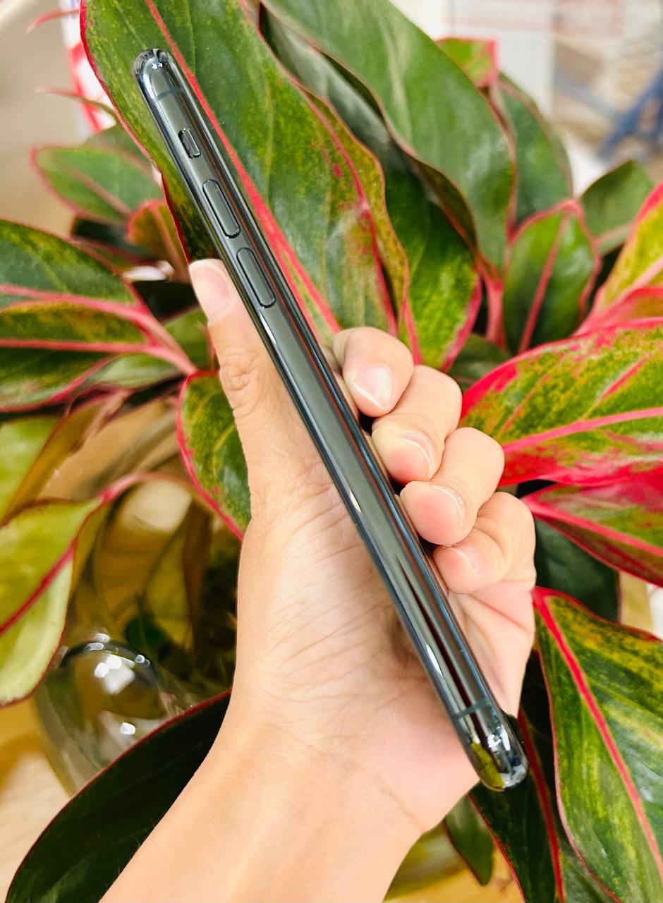 iPhone 11 Pro