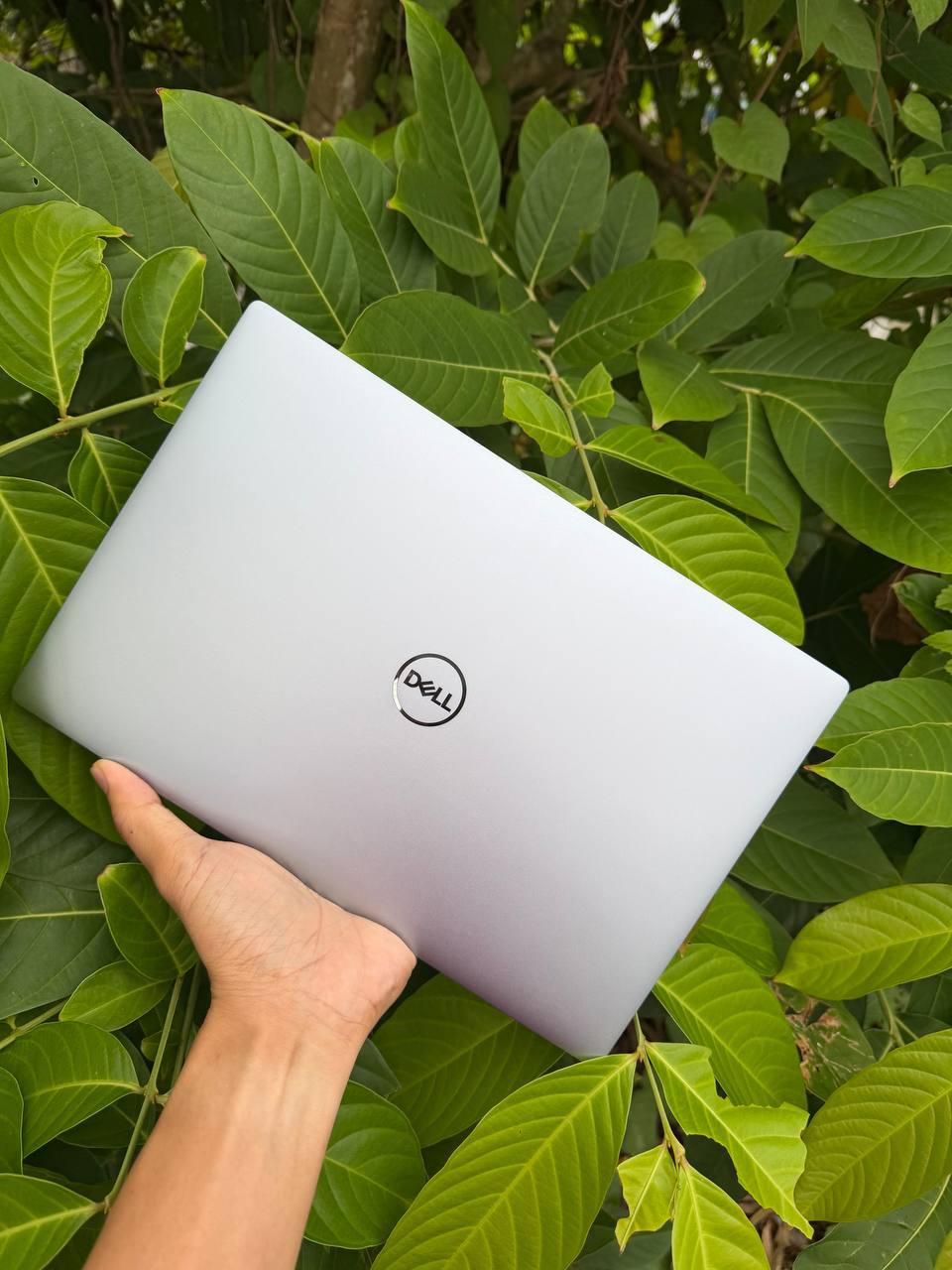 Dell XPS 13 9315