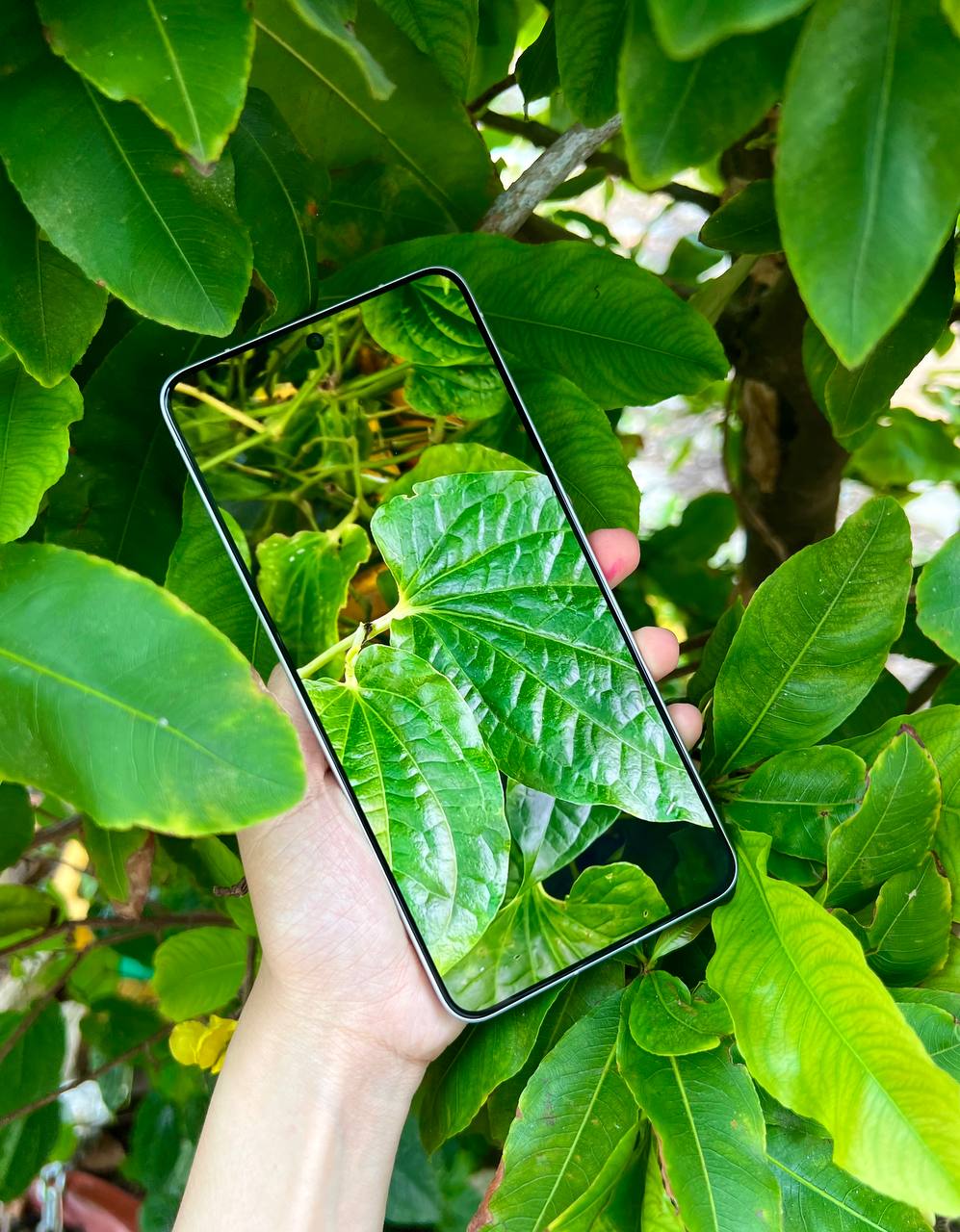 Vivo X300 Ultra