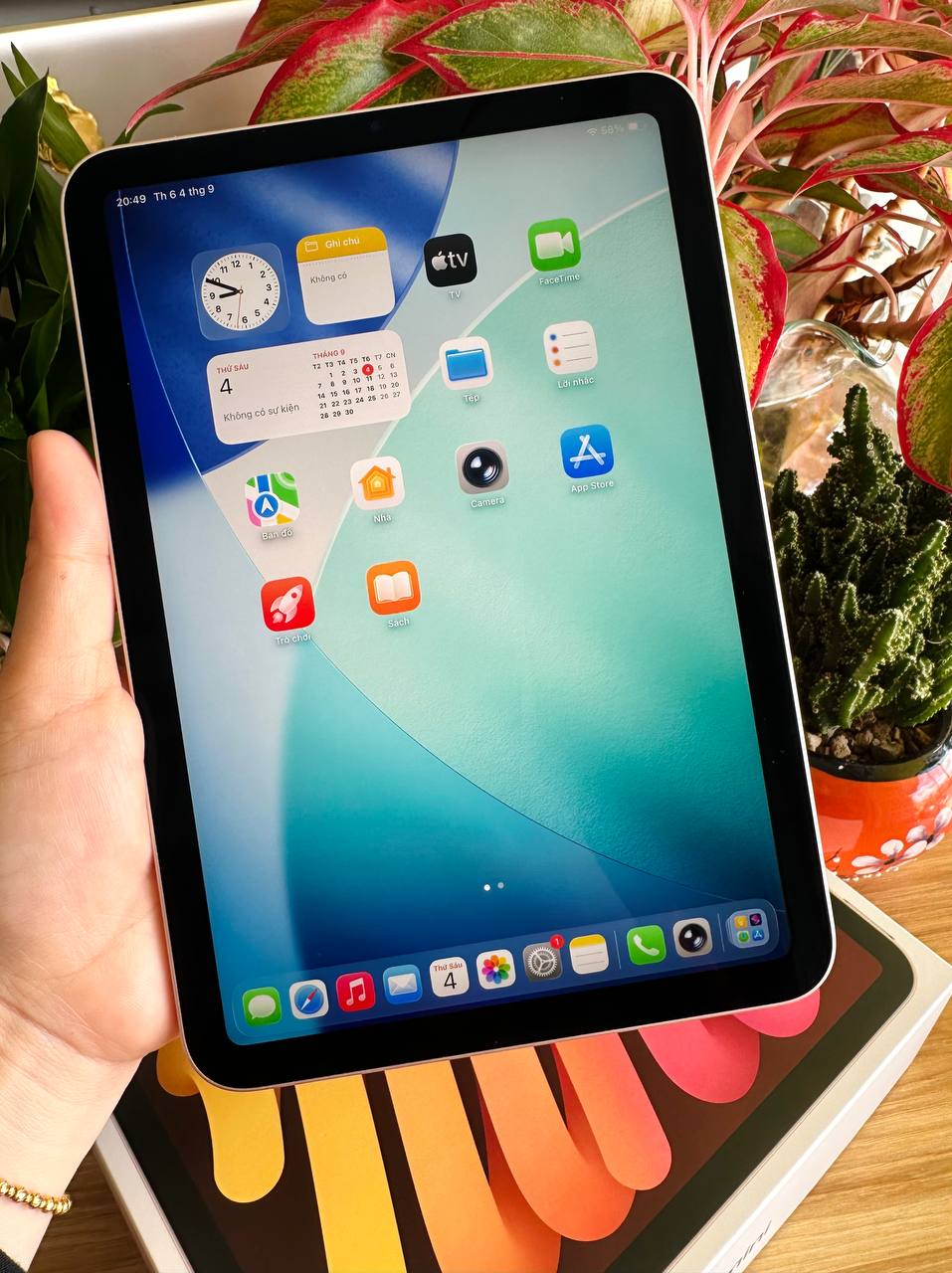 iPad mini 6