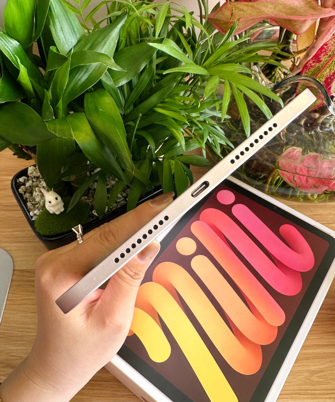 iPad mini 6