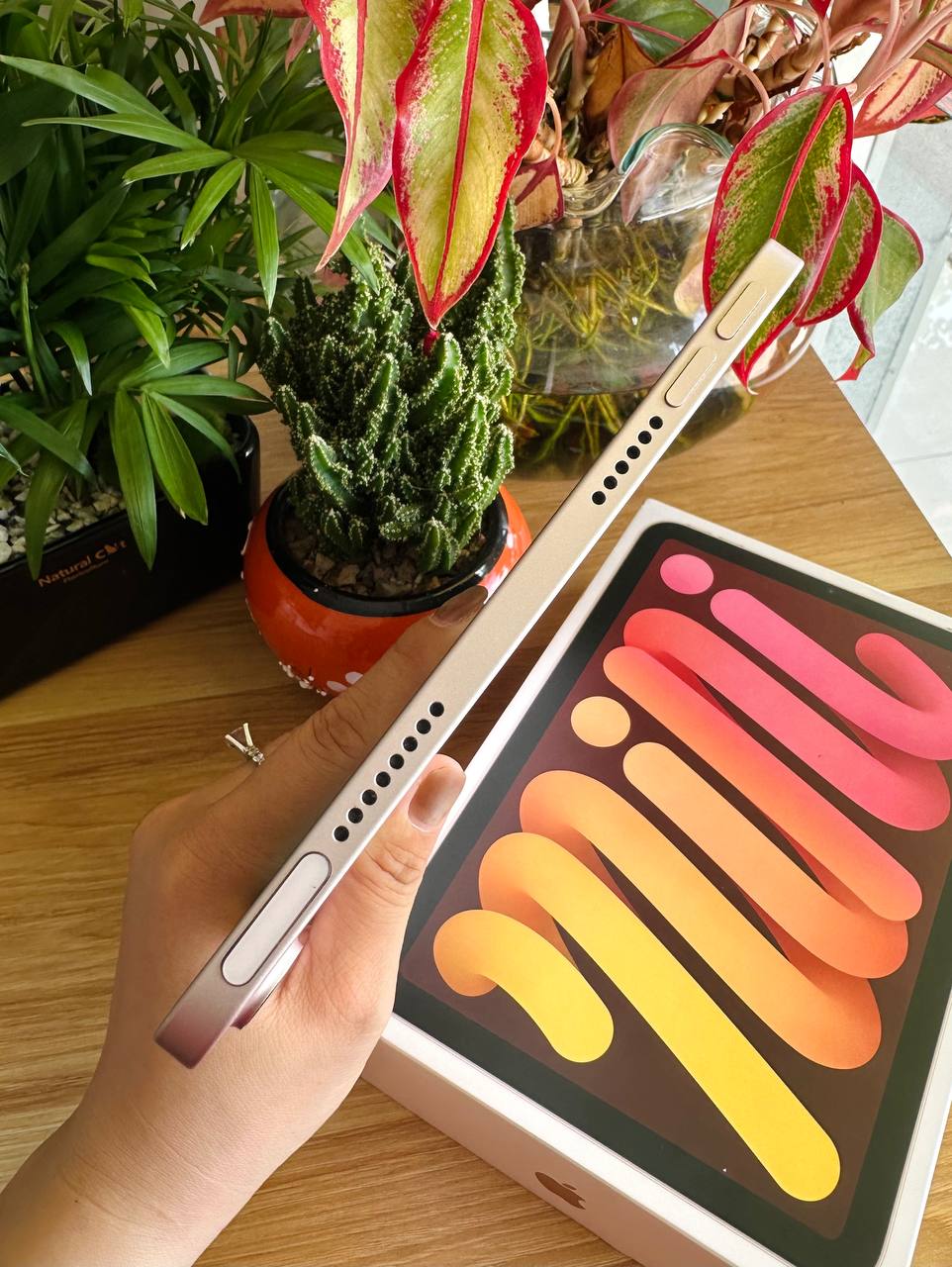 iPad mini 6